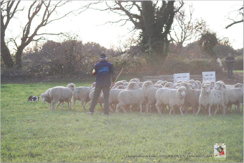 Coste Sarguet_Alto_Samedi_0013w-web.jpg